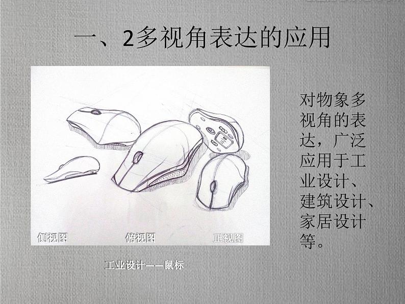 2.手绘线条图像——物象的多视角表达 课件(共18张PPT)-2021-2022学年人美版美术八年级下册05