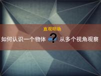 初中美术人美版八年级下册2.手绘线条图像——物象的多视角表达图文ppt课件