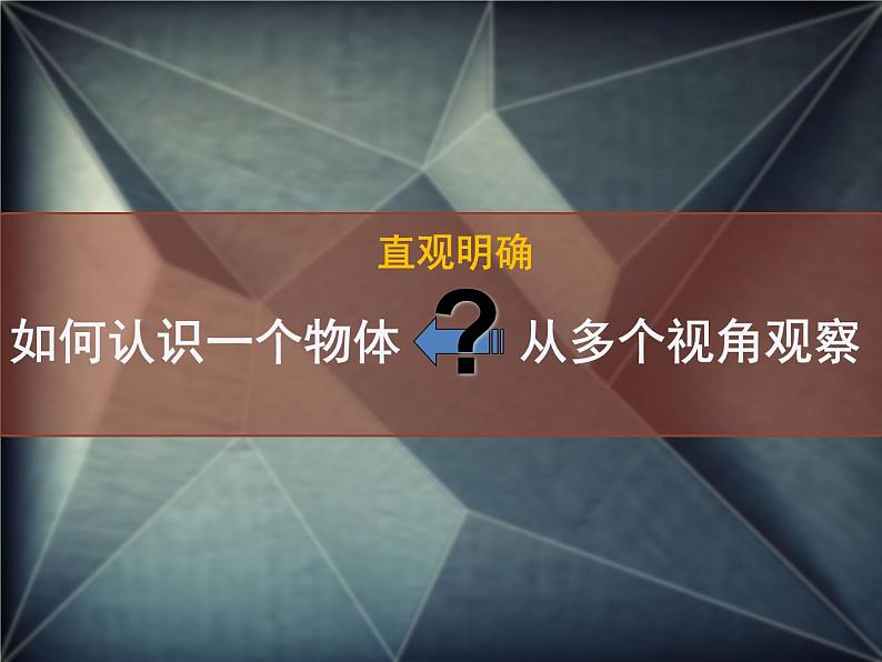 2.手绘线条图像——物象的多视角表达 课件(共40张PPT)-2021-2022学年人美版美术八年级下册01