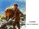 光与影的交响曲 瞬间的表情课件PPT
