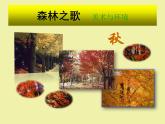 七年级下册第二课 大自然之歌课件PPT