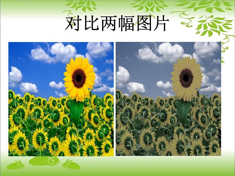 《色彩的调和》课件第3页