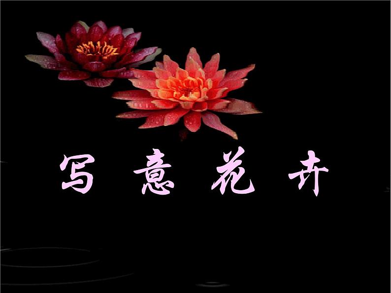 人美版美术七年级下册8 写意花卉课件+教案+素材03