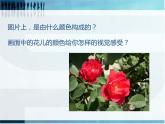 人美版美術(shù)七年級(jí)下冊(cè)4 色彩的對(duì)比課件+教案+素材