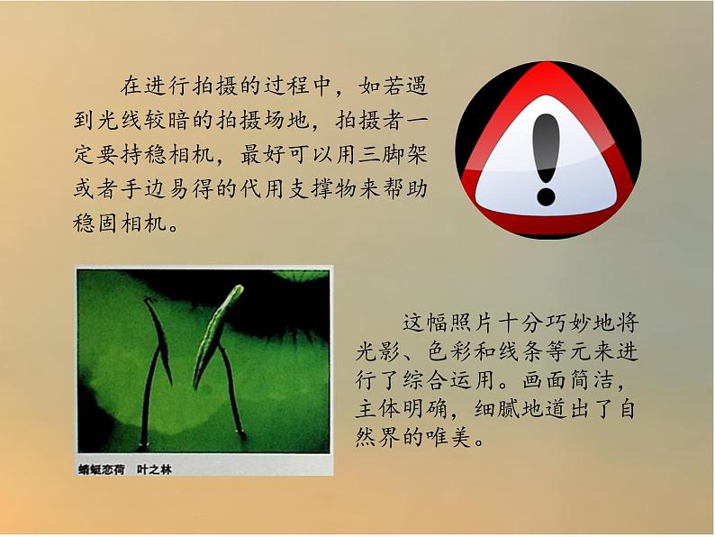 3.留住精彩的瞬间 4.另一种工具 课件 -2021-2022学年苏少版美术九年级下册第8页