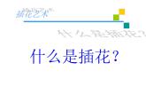 3.1 插花 課件(共30張PPT)-2021-2022學(xué)年人教版美術(shù)八年級(jí)下冊