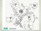 2.2 设计纹样 课件(共30张PPT)-2021-2022学年人教版美术八年级下册