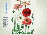 2.2 设计纹样 课件(共30张PPT)-2021-2022学年人教版美术八年级下册