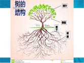 浙美版初中美术七年级下册   7.树石画法    课件