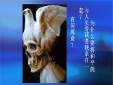 浙美版初中美术八年级下册   8.奇特的视觉图形    课件