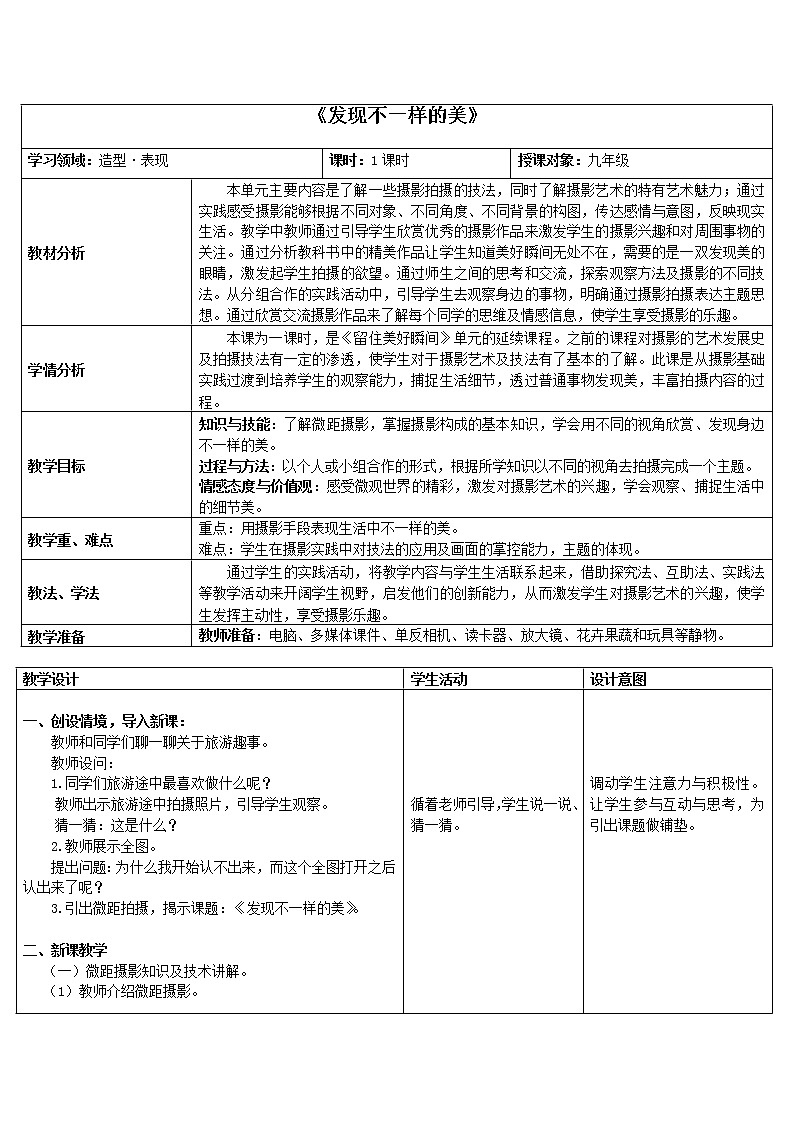 浙江人民美术出版社初中美术九年级下册 8.发现不一样的美   教案3第1页
