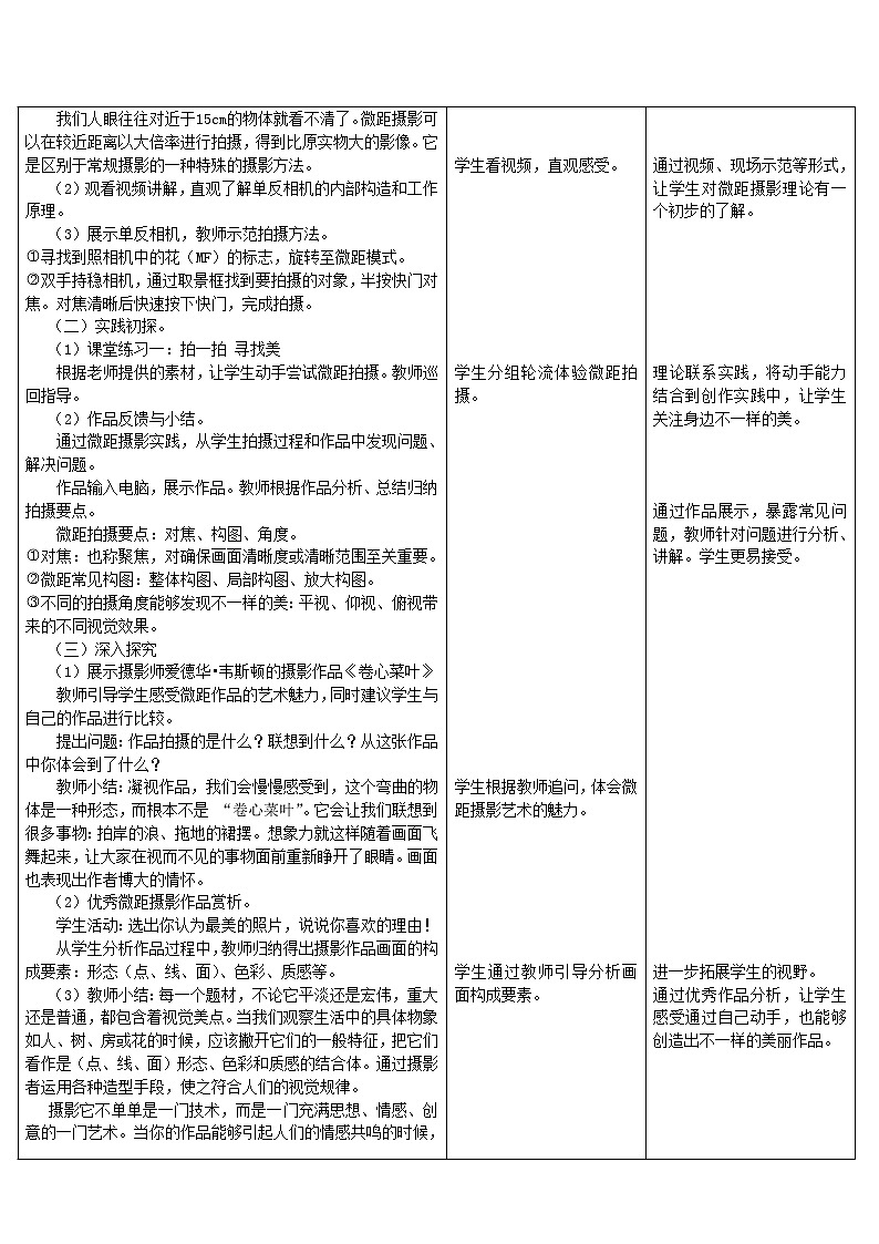 浙江人民美术出版社初中美术九年级下册 8.发现不一样的美   教案3第2页