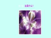 浙美版初中美术九年级下册   8.发现不一样的美   课件1