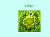 浙美版初中美术九年级下册   8.发现不一样的美   课件1