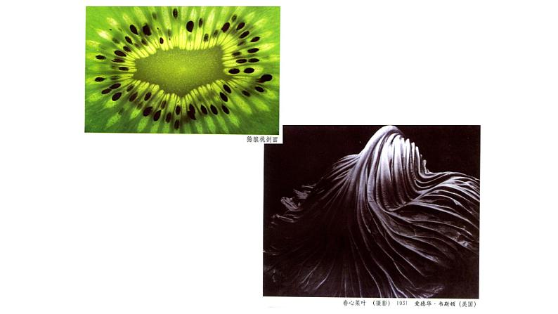 浙美版初中美术九年级下册   8.发现不一样的美   课件02