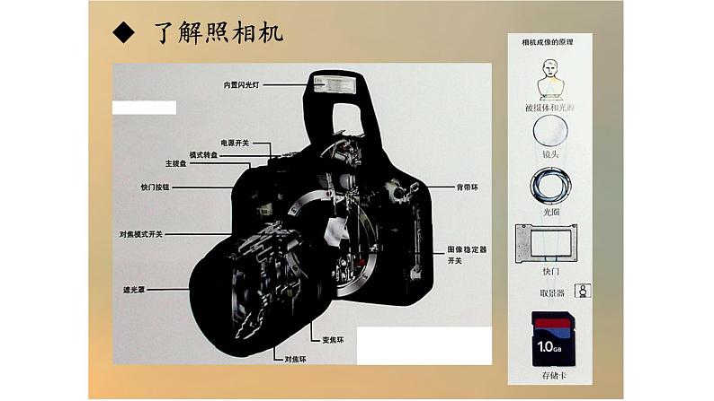 浙美版初中美术九年级下册   7.留住精彩的瞬间   课件03