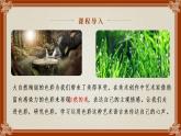 色彩的感染力課件PPT
