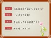 色彩的感染力課件PPT