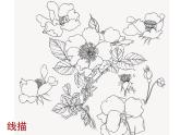 八年级下 二单元第二课时设计纹样 课件PPT