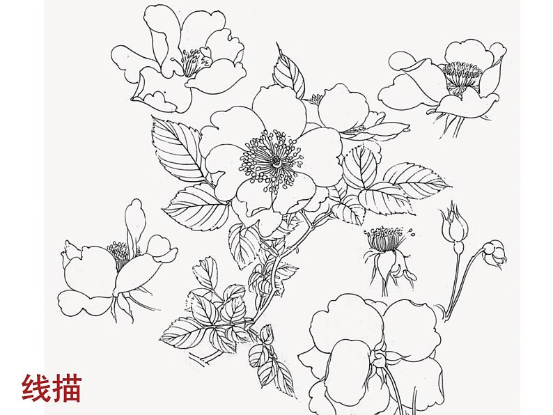 八年级下 二单元第二课时设计纹样 课件PPT03