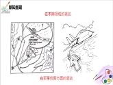 人美版七年級(jí)上冊(cè)2.《手繪線條圖像-會(huì)說(shuō)話的圖畫(huà)》課件PPT+教案