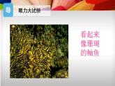 3、同類色與鄰近色課件PPT