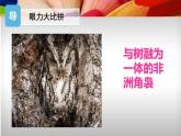 3、同類色與鄰近色課件PPT