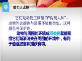 3、同類色與鄰近色課件PPT