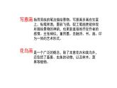 8、寫意花卉課件PPT