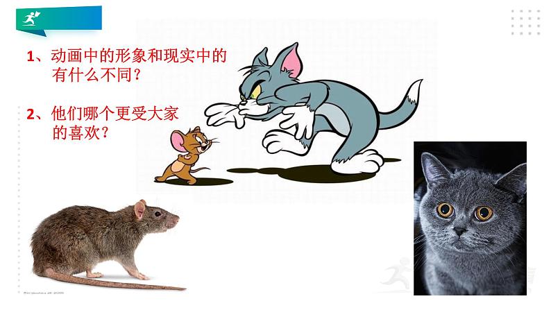 第一课《 源于生活 高于生活 》课件new04