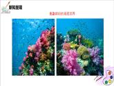 人美版七年级上册6.《大自然的色彩》课件PPT+教案