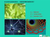 九年級(jí)美術(shù)下冊(cè)第3課畫(huà)布上的抽象課件6湘美版