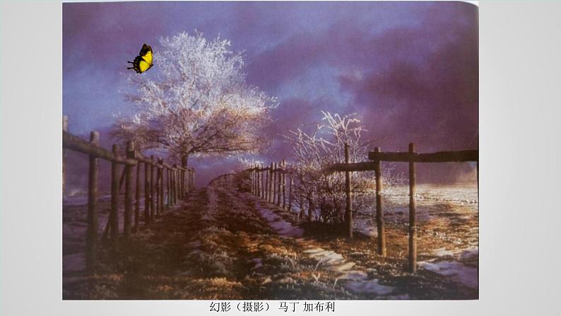 九年级美术下册美术与环境第3课光影的魅力课件2赣美版第2页