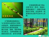 七年級(jí)美術(shù)上冊(cè)第四單元1描繪我們的校園課件1新人教版