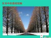 七年級(jí)美術(shù)上冊(cè)第四單元1描繪我們的校園課件1新人教版