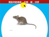 卡通故事1卡通故事1課件PPT