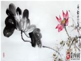 初中美術(shù)人美版 七年級(jí)下冊 8寫意花卉 2 課件