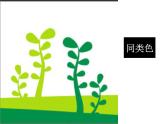 初中美術(shù)人美版 七年級下冊 3同類色與鄰近色 2 課件