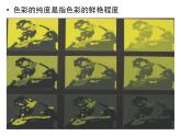 初中美術(shù)人美版 七年級下冊 3同類色與鄰近色 4 課件