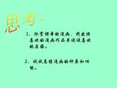 桂美版美术八下 3.幽默与智慧的艺术 课件