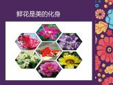 岭南社七年级下册美术课件 5.花卉与纹样