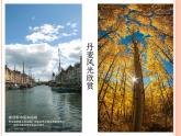 嶺南社八年級下冊美術(shù)課件 6.色彩的表現(xiàn)