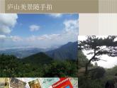 赣美版八下美术 2捕捉精彩瞬间 课件