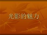 赣美版九下美术 3光影的魅力  课件