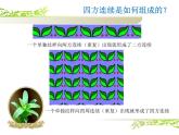 人教版八下美术 2.1了解纹样 课件