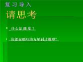 人美版九下美術(shù) 4《環(huán)境雕塑設(shè)計》 課件