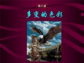 苏教版七下美术 6多变的色彩化 课件