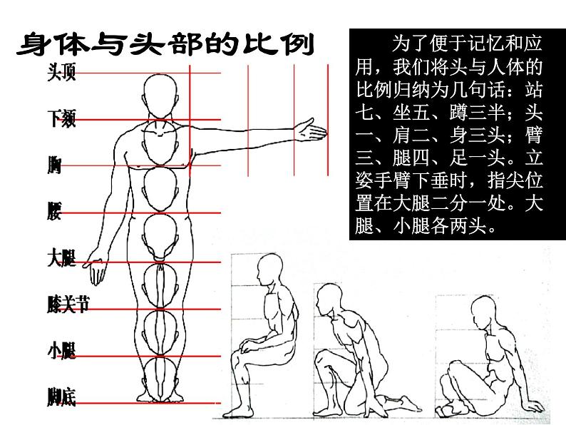 苏教版七下美术 3在临摹中感受 课件第3页