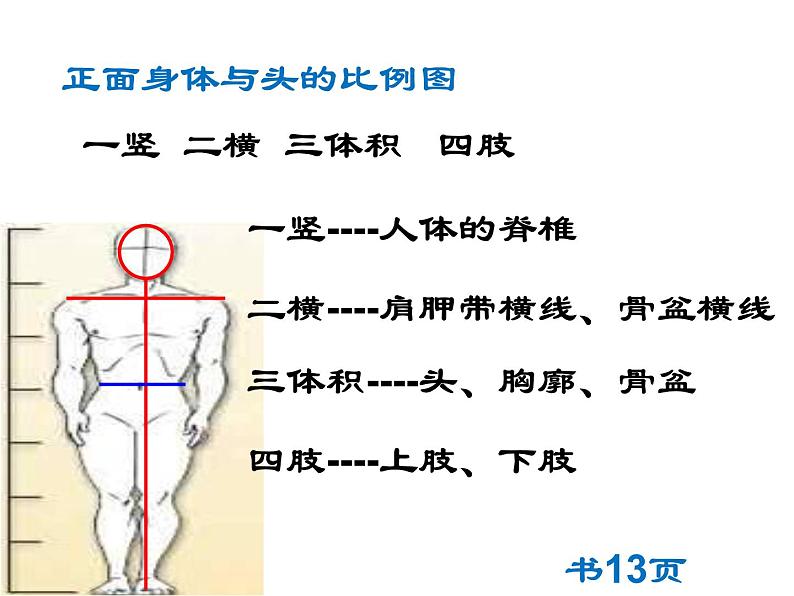 苏教版七下美术 3在临摹中感受 课件第5页