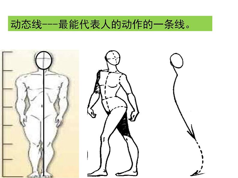 苏教版七下美术 3在临摹中感受 课件第7页